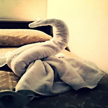 Cristallo Hotel 4*